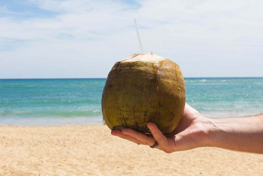 Coconut being held with the beach in the background