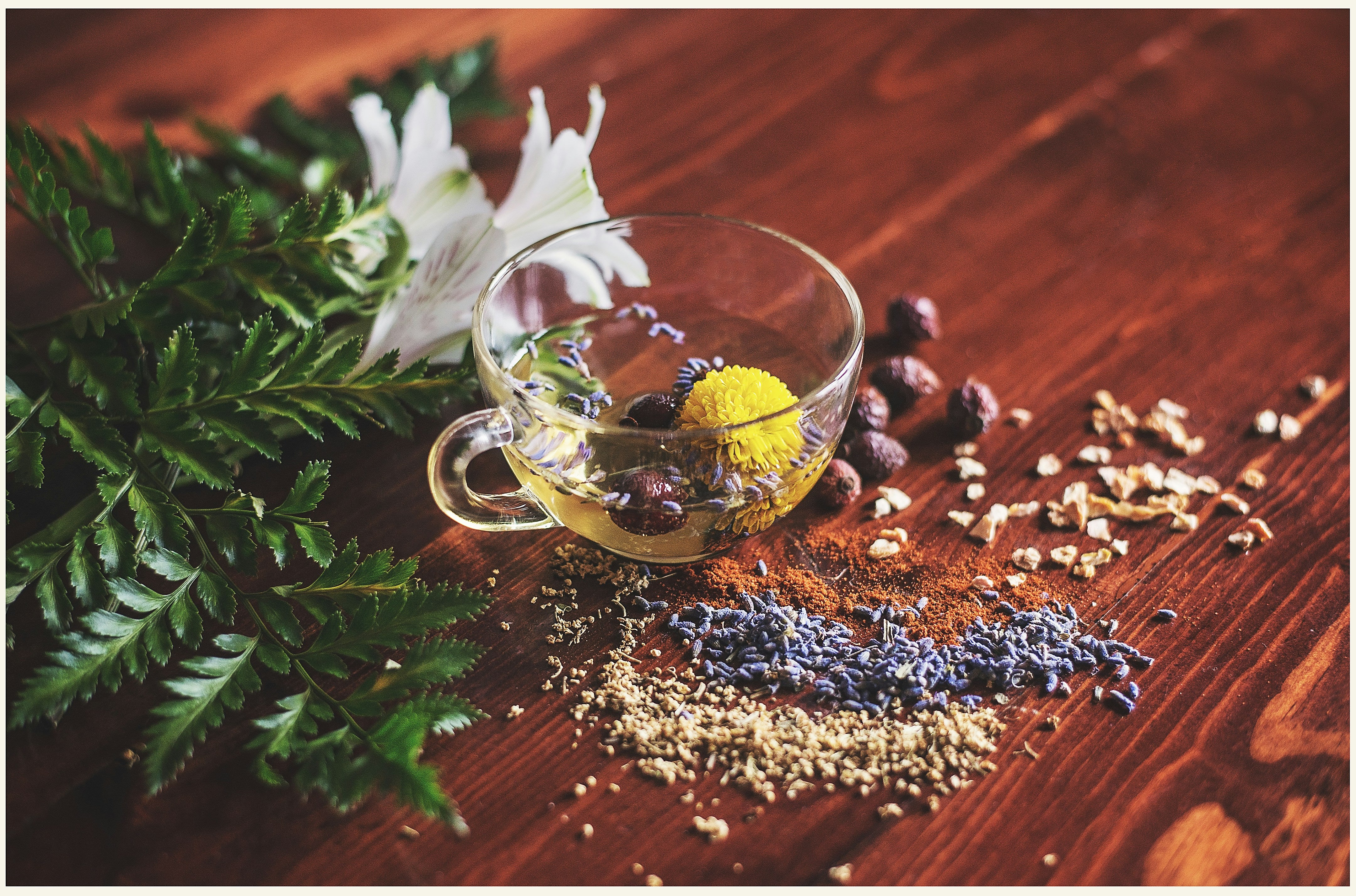 Clear cup with seeds and spices for a tea