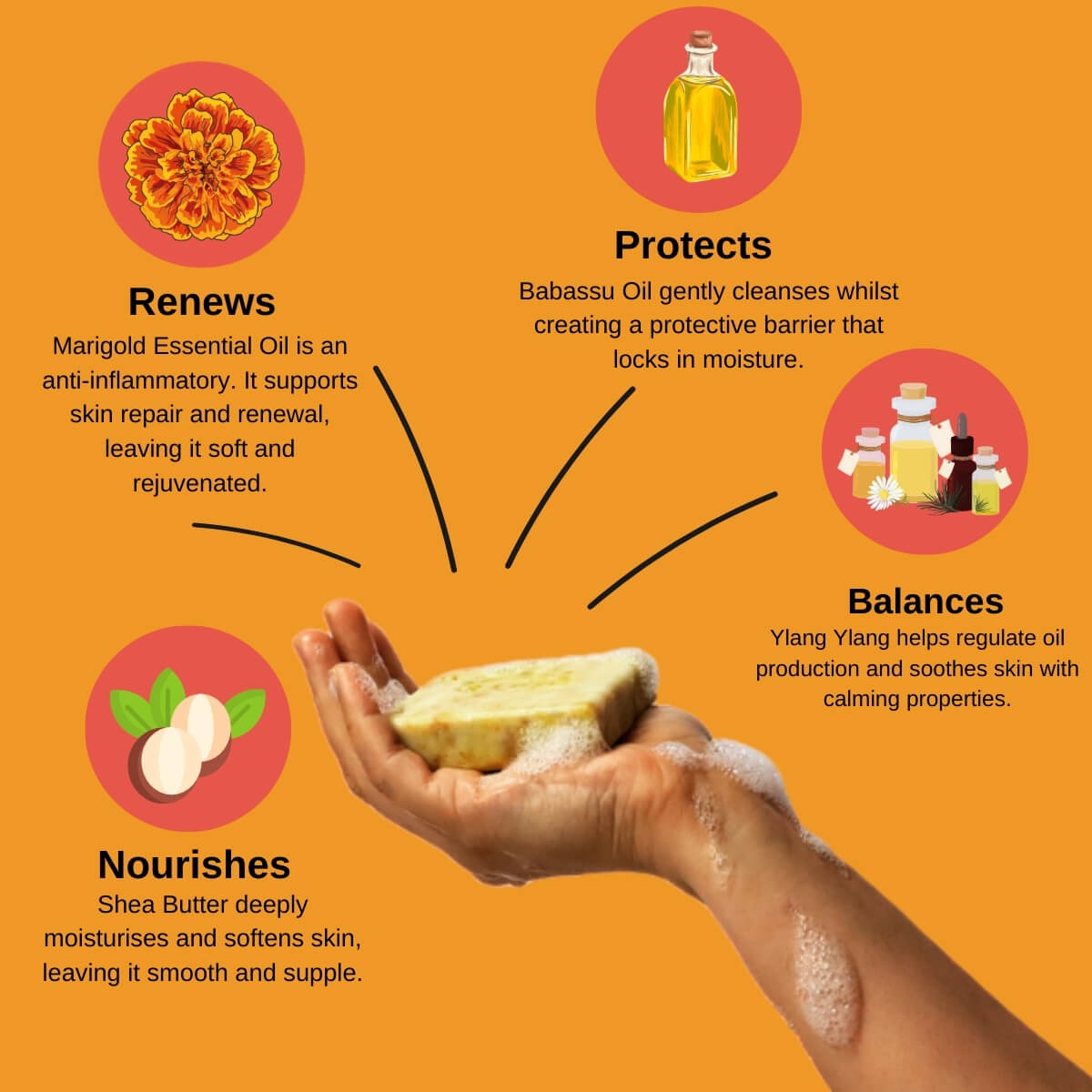 Infographic about skincare benefits with marigold, babassu oil, and shea butter on an orange background.