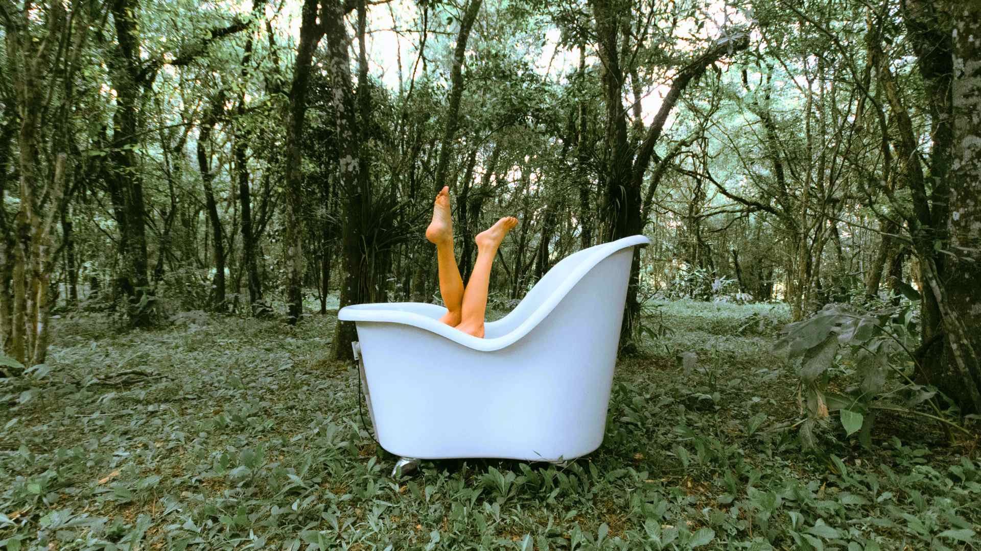 bath tub in forest