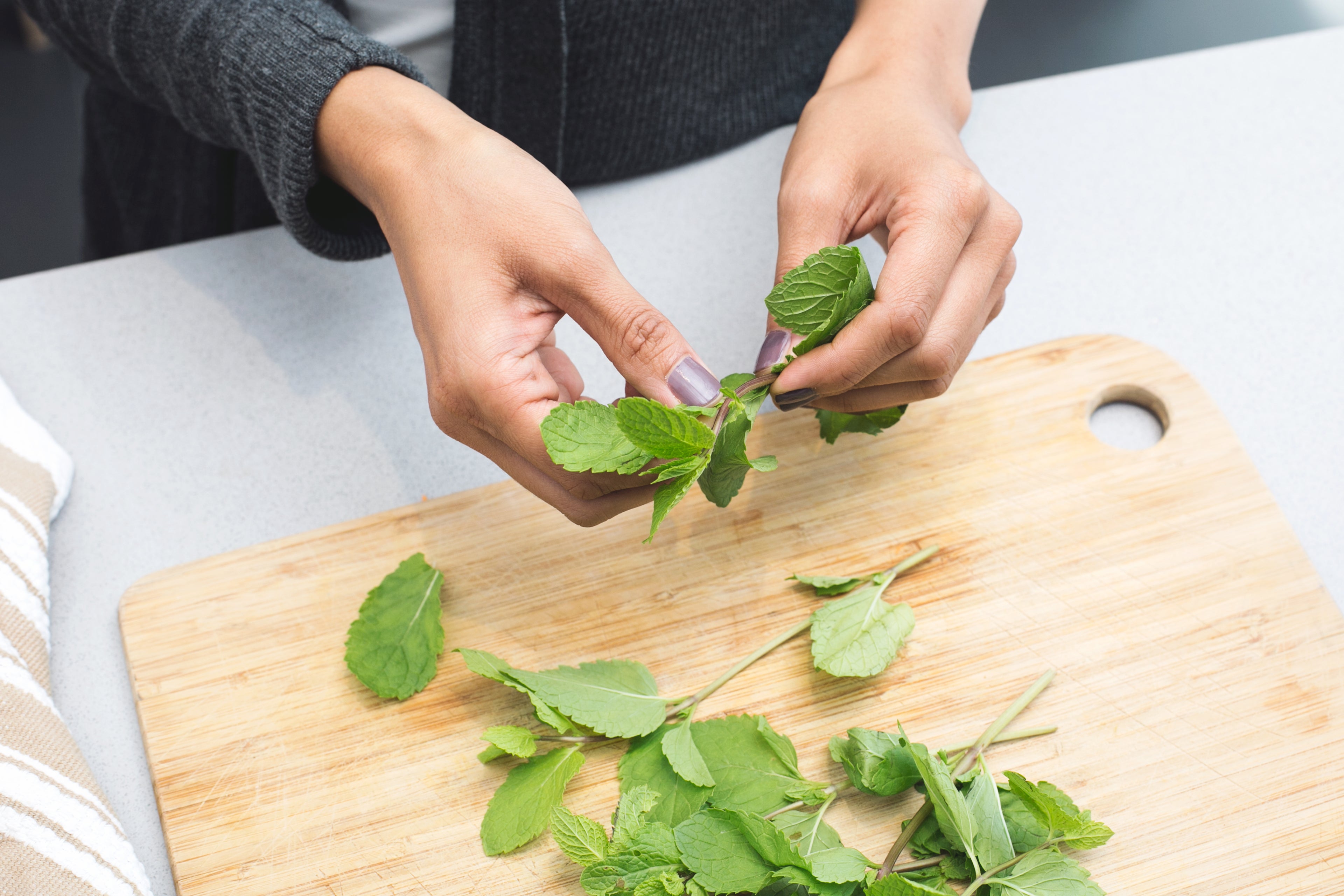 woman's hands tearing spearmint leaves